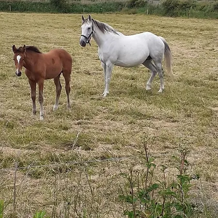 Сasa de vacaciones Riverside *